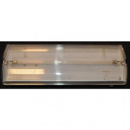 Noodverlichting Dione 13 IP65